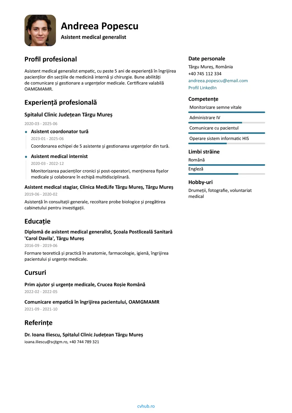 Model CV - Ideal pentru un început proaspăt.