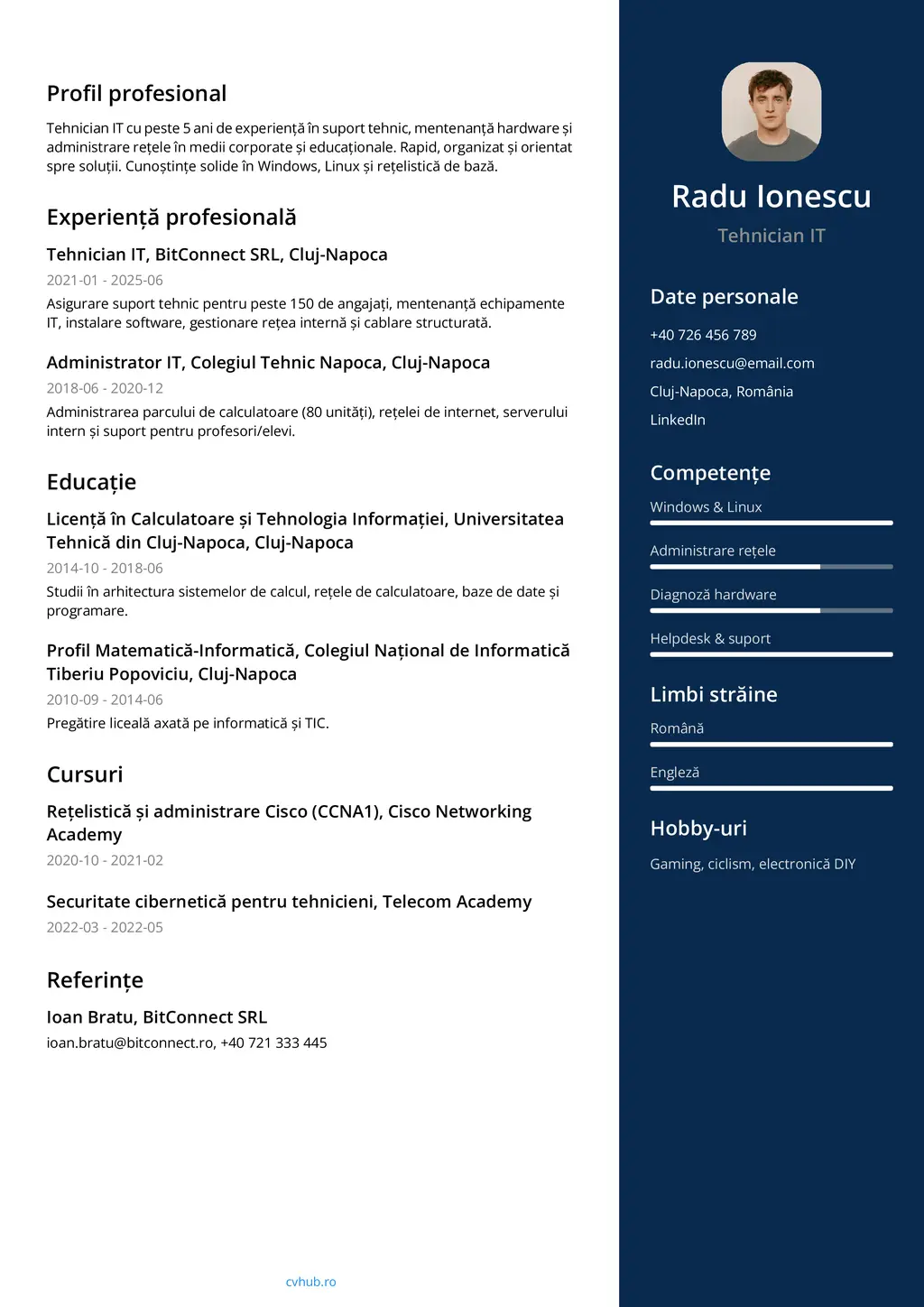 Model CV - Ideal pentru o perspectivă inovatoare.