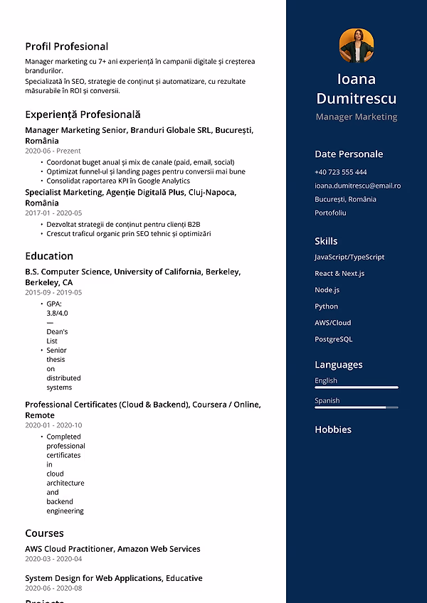 Previzualizare model CV Flip View în editorul CVhub.ro