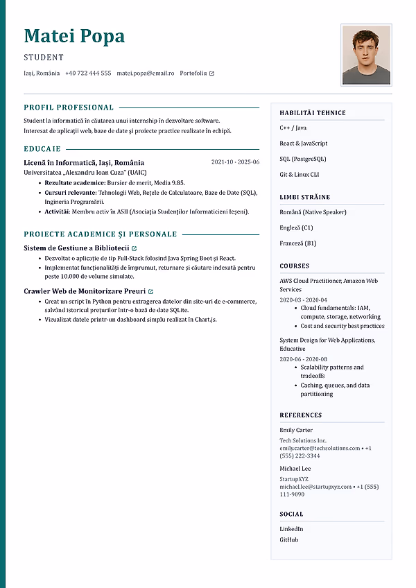 Previzualizare model CV Harbor în editorul CVhub.ro