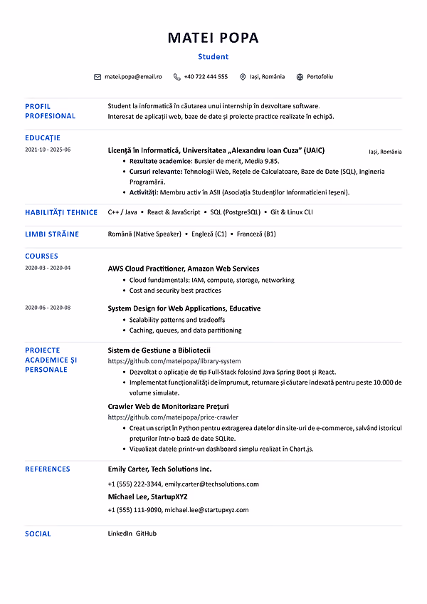 Previzualizare model CV New Age în editorul CVhub.ro